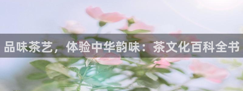 鸿运华宁技术平台