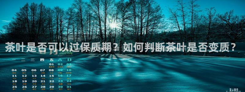 鸿运交易平台app