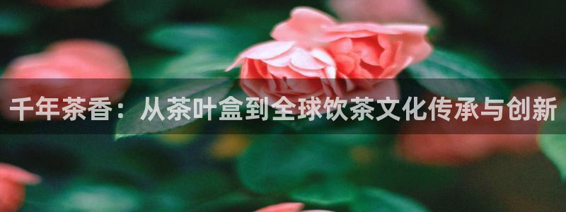 鸿运农场直播平台