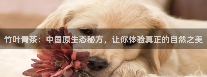 鸿运平台垫付任务