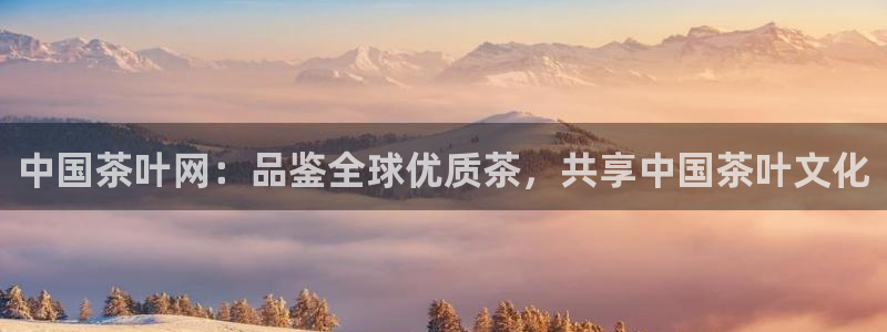 鸿运供应管理平台