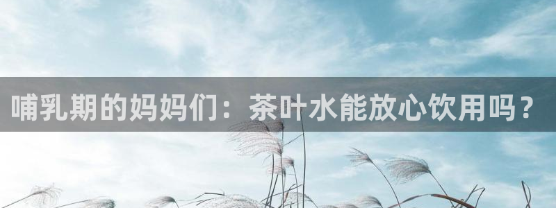 鸿运集团平台招聘