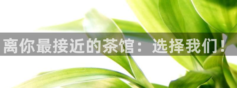 鸿运管理平台