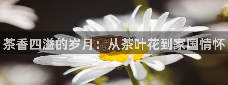 鸿运当头平台画