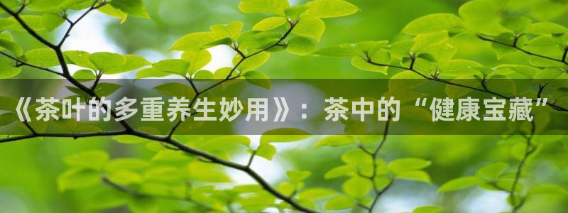 鸿运彩票平台可靠吗
