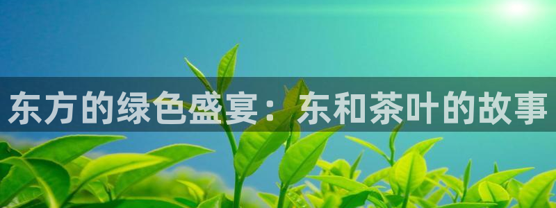 鸿运当头网贷平台