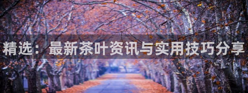 鸿运购彩平台