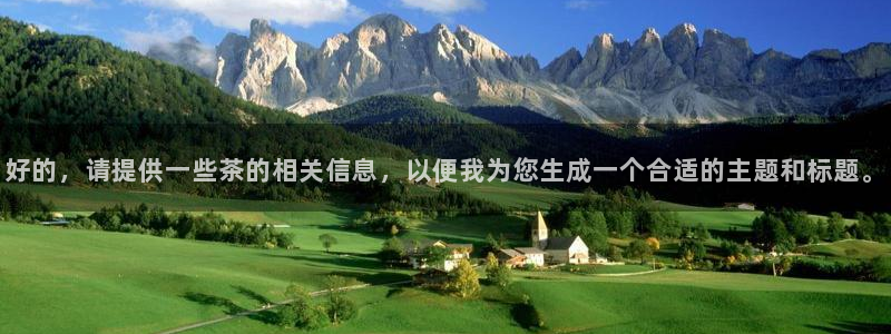 鸿运国际赌场平台