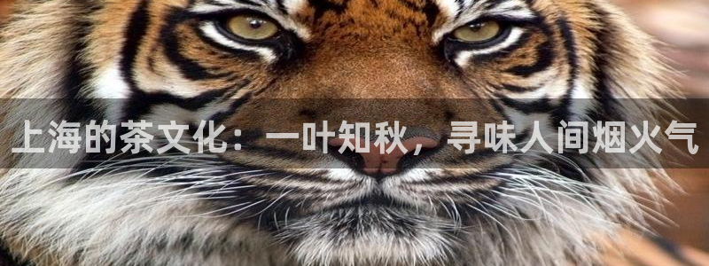鸿运平台刷单