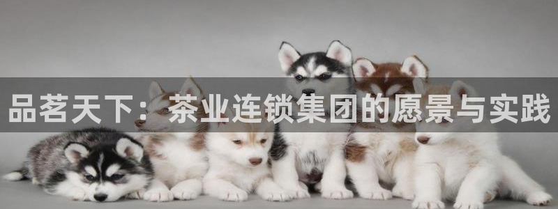 鸿运彩票平台快三