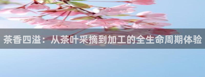 鸿运到平台注册