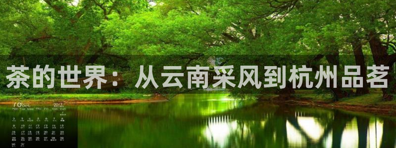 鸿运彩票平台登录不了