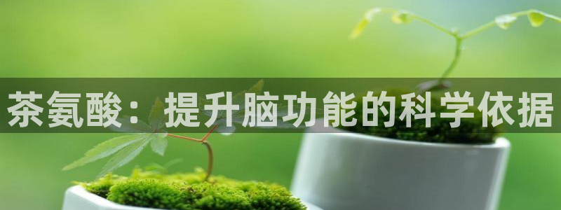 香港鸿运黑平台