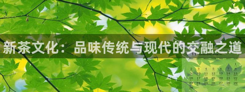 鸿运来投资平台
