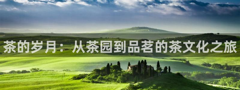 鸿运到游戏直播平台