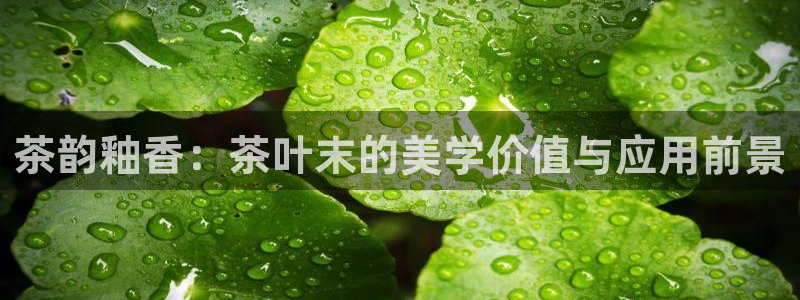 鸿运来投资平台
