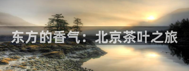 鸿运棋牌游戏平台