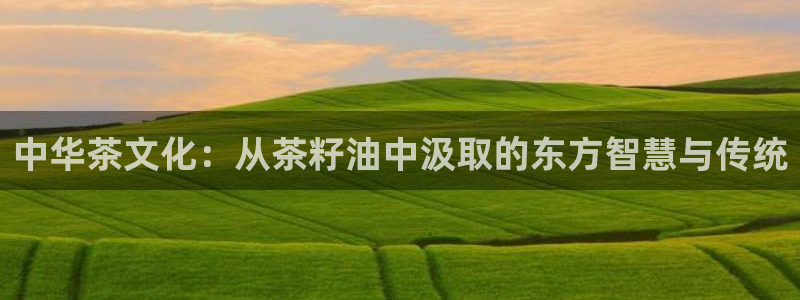 鸿运大秀平台