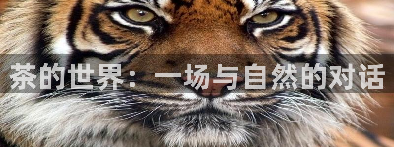 鸿运app平台
