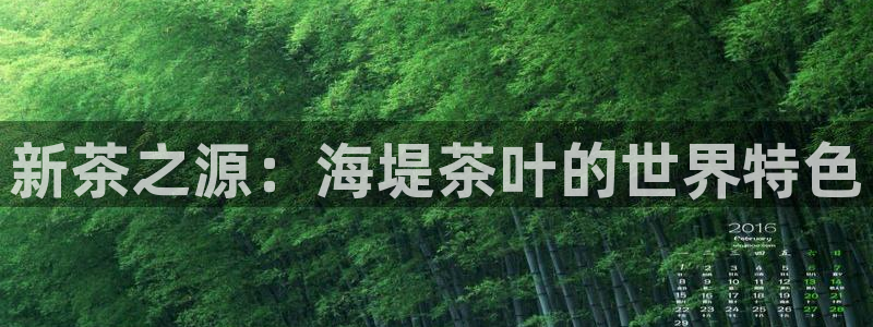 鸿运棋牌平台下载