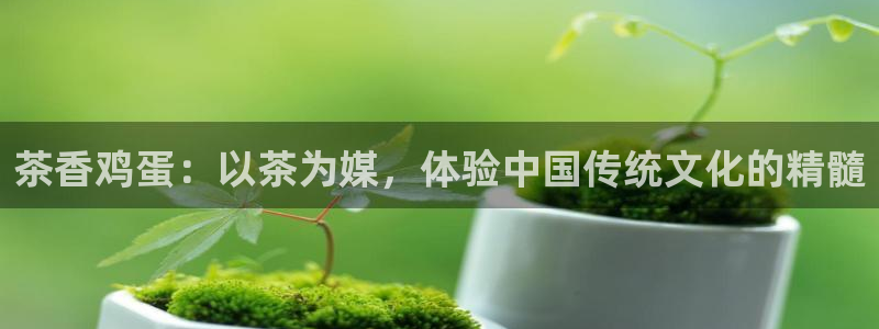 鸿运彩票诈骗平台