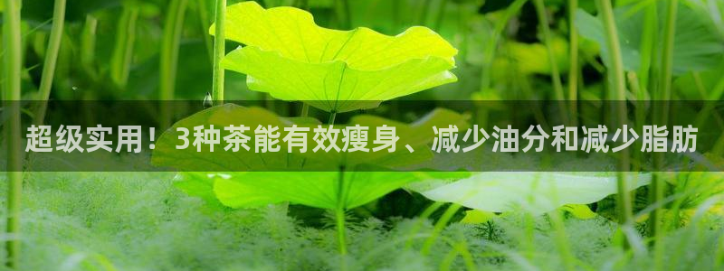 鸿运商城平台