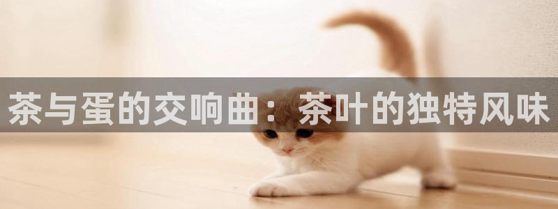 鸿运大秀平台