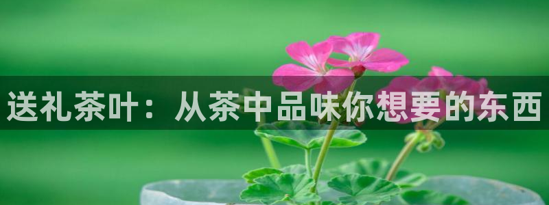 鸿运直播平台安卓版