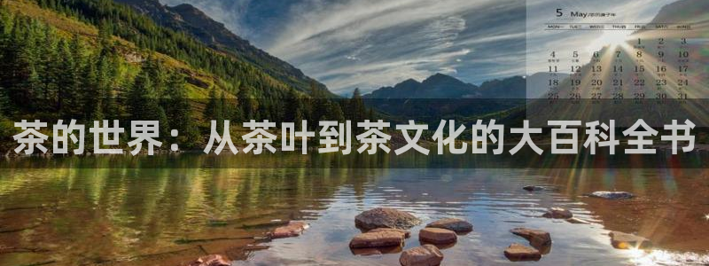 鸿运连锁管理平台
