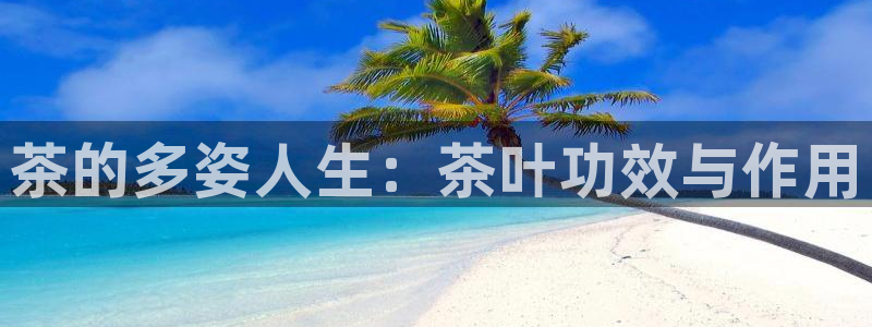鸿运平台进入官网
