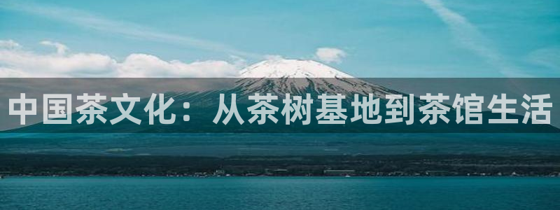 鸿运充值平台