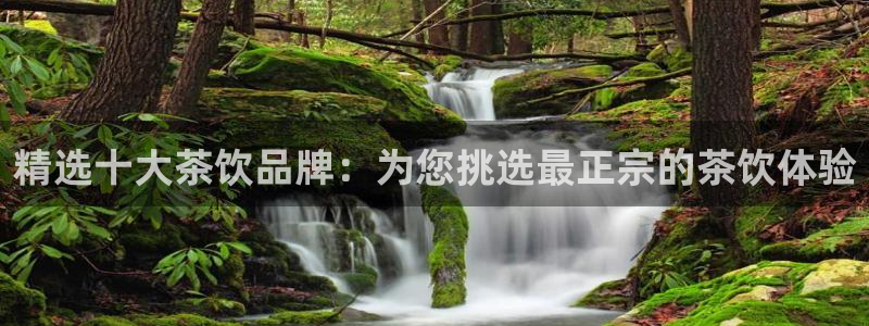 鸿运游戏下载平台