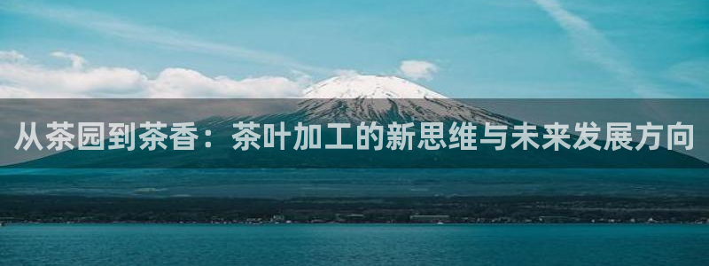 鸿运国际平台平台介绍