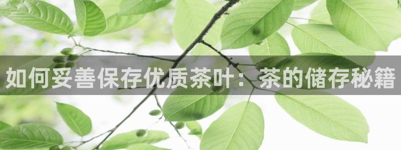 鸿运当头借贷平台