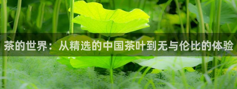 鸿运交易平台