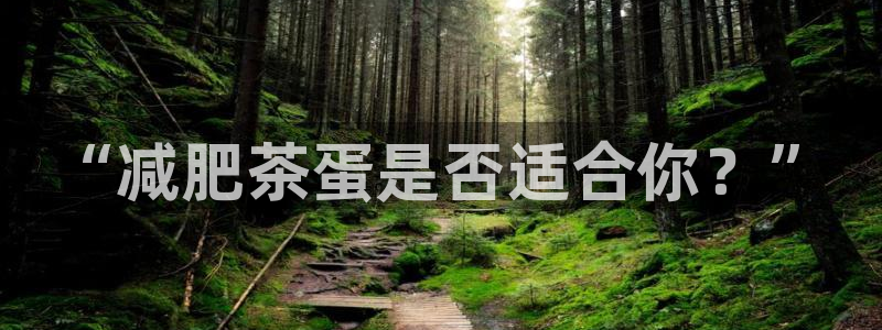 正规鸿运国际平台