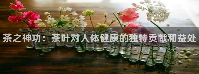 鸿运赌城平台