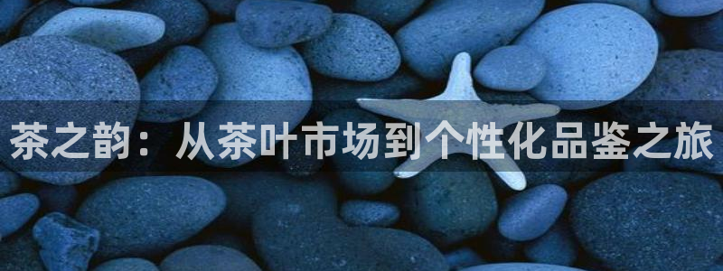 鸿运北斗监控平台