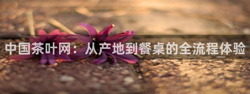 鸿运当头平台
