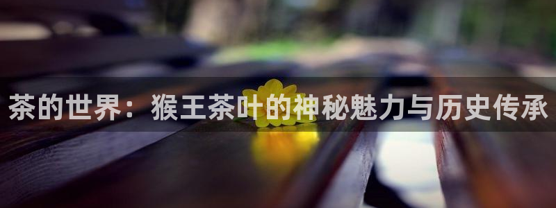 鸿运阿姨直播平台