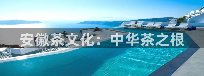 鸿运服务平台是什么平台