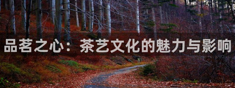 琥珀鸿运是个国际平台吗