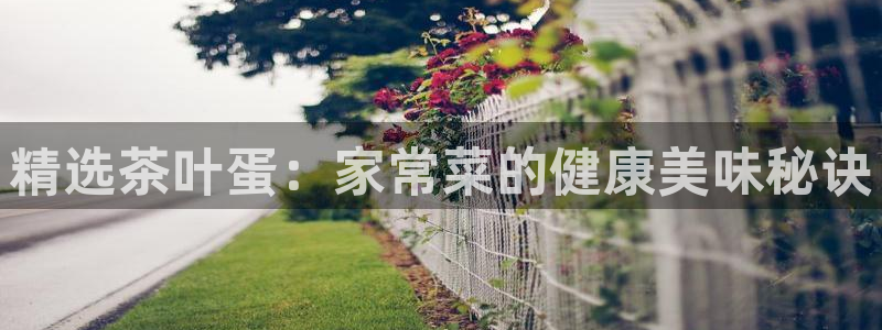 鸿运当头借贷平台