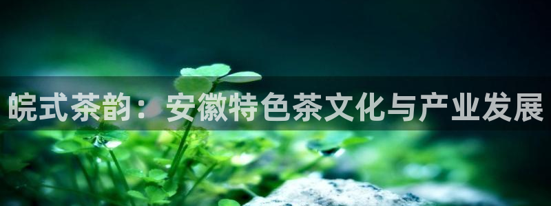 鸿运满堂团购平台