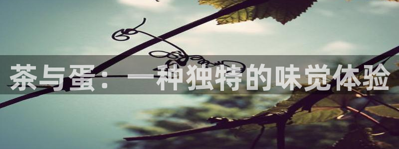 鸿运国际平台国