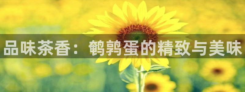 鸿运平台在线客服