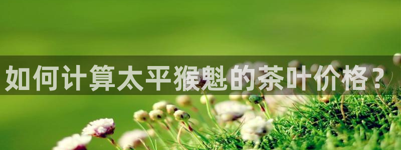 鸿运矿机平台