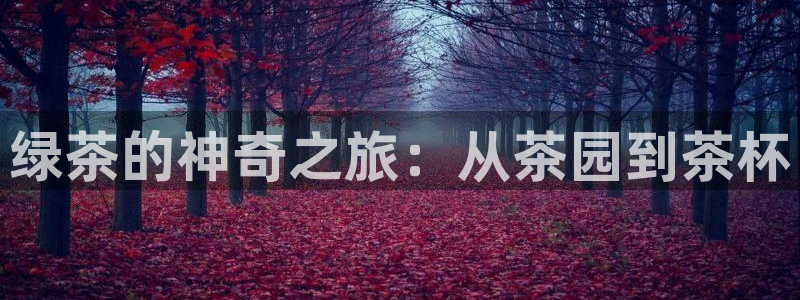 鸿运平台是骗局吗