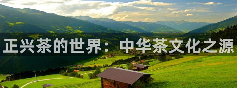 鸿运通贷款平台
