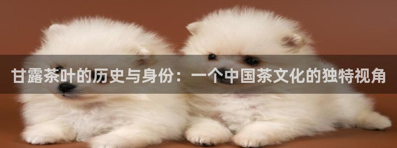 鸿运管理平台